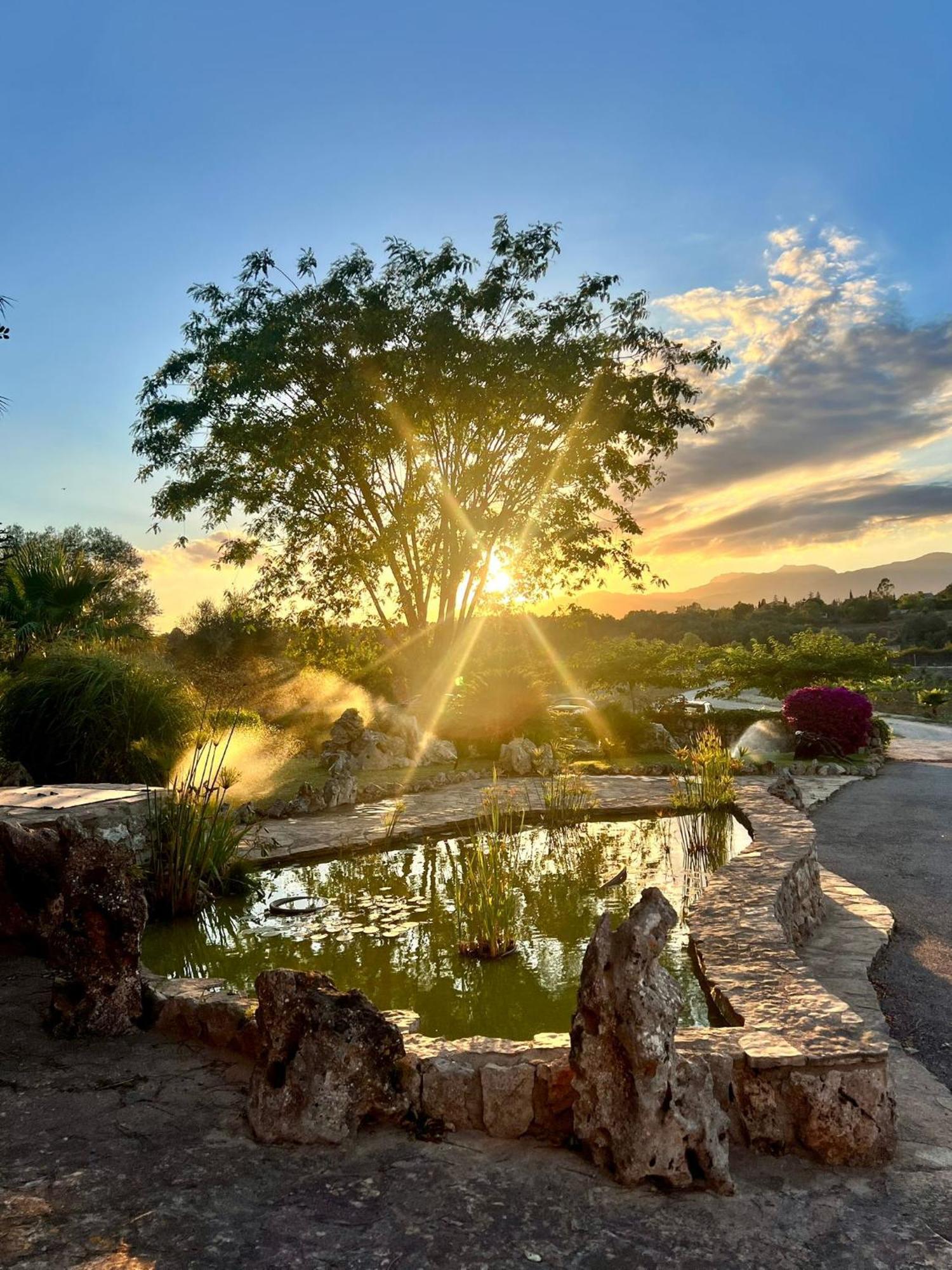 Agroturismo Ses Illes Costitx  Εξωτερικό φωτογραφία