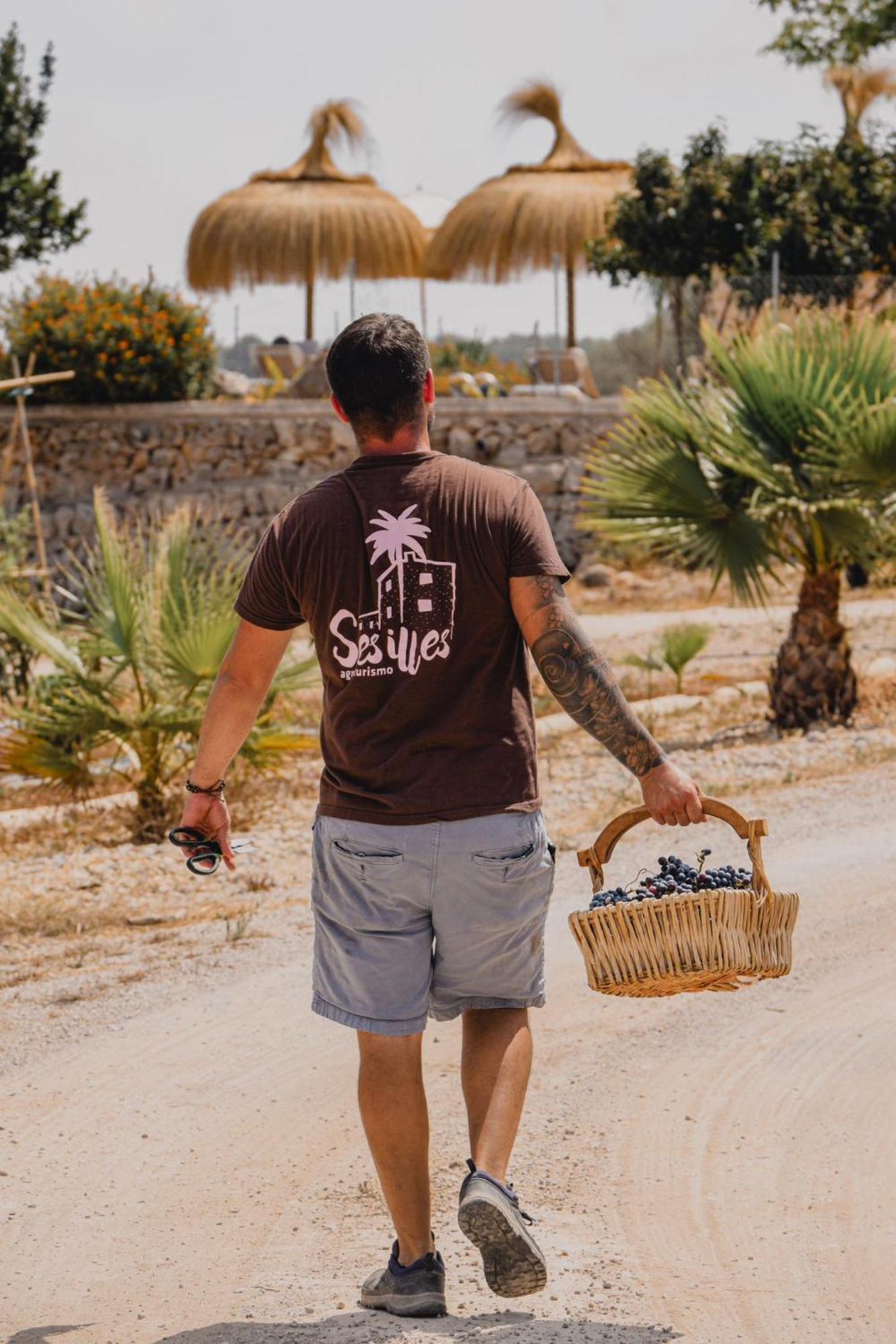 Agroturismo Ses Illes Costitx  Εξωτερικό φωτογραφία